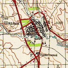 Оренбургская область. г.Шарлык (образовано в 1809 г. как с.Михайловское,с.Шарлык с 1929 г.)